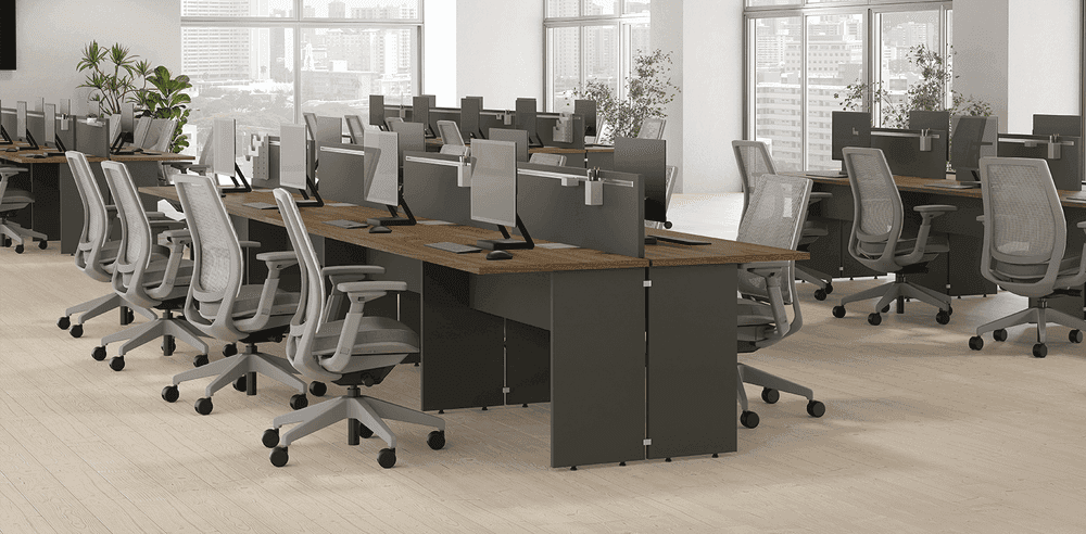 Plataforma Dupla – Prima Clean